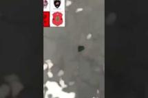 Embedded thumbnail for Seven police officers shot whilst shopping