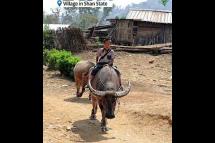 Embedded thumbnail for IDP crisis in Myanmar’s Shan State